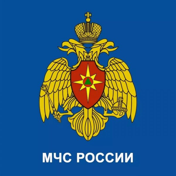 Министерство по чрезвычайным ситуациям (МЧС России)