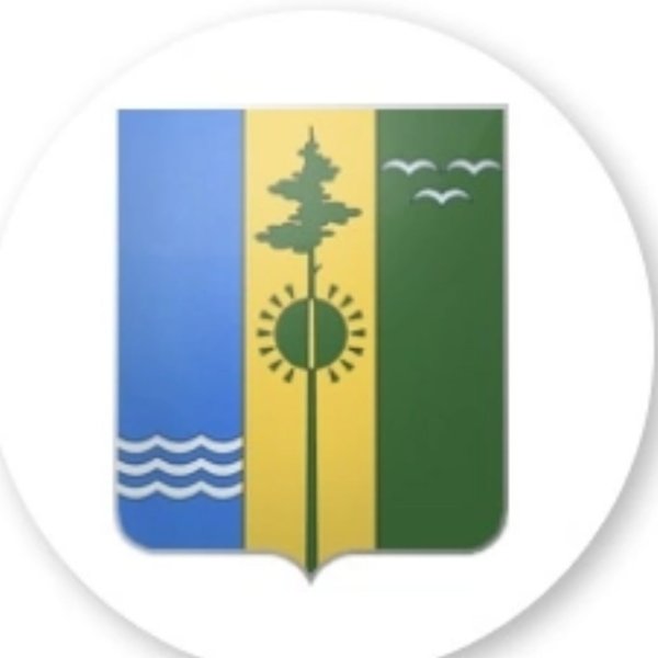 Герб Нижнекамска