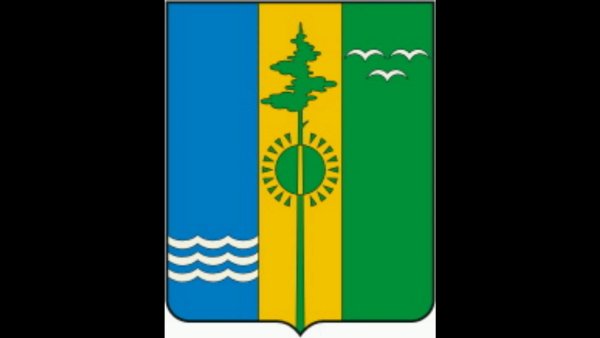 Герб и флаг Нижнекамска