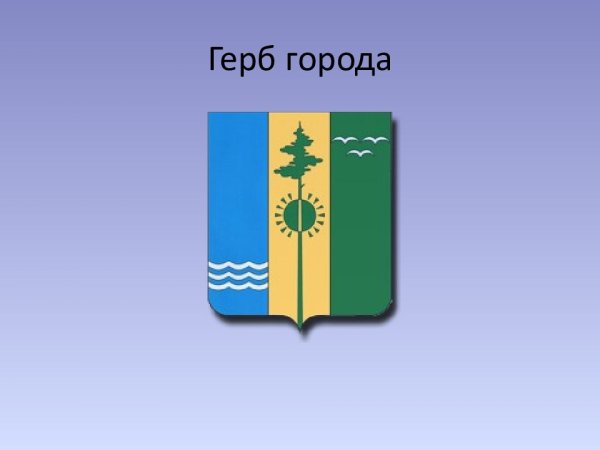 Флаг города Нижнекамск
