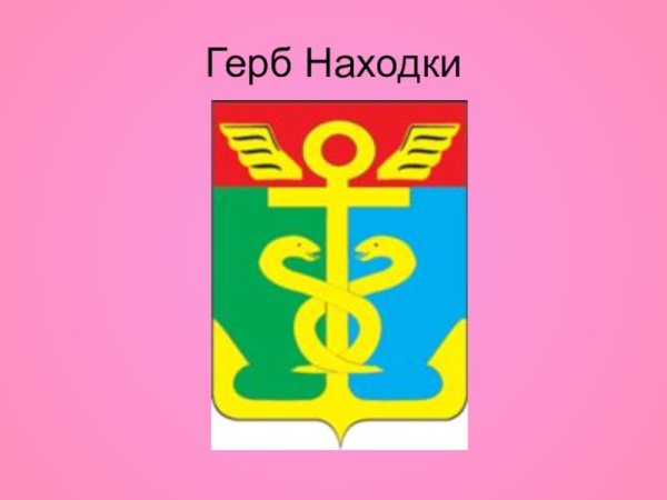 Флаг находки Приморского края