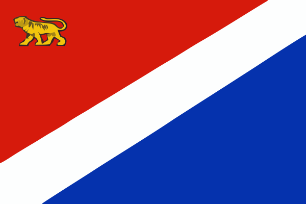Флаг Владивостока Приморского края-