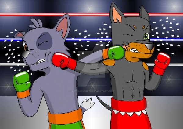 Paw Patrol furry Рокки