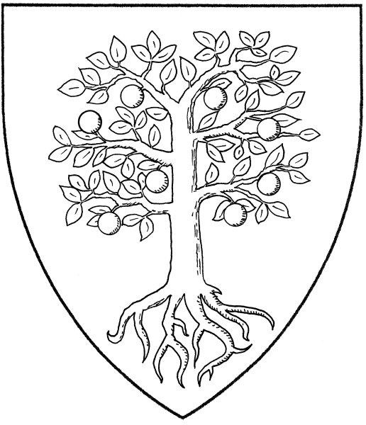 Эскизы гербов