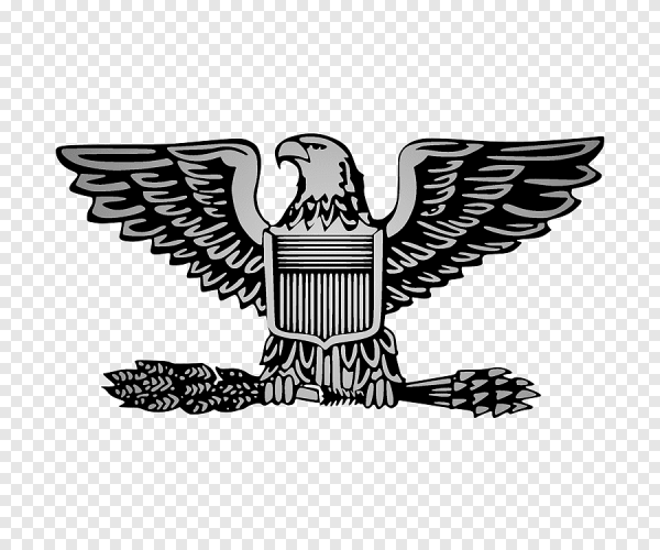 Орел геральдический США