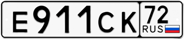 Номерной знак е696кк199