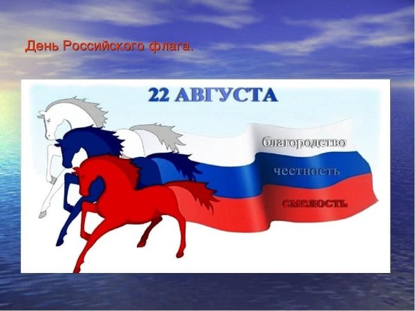 День народного единства флаг