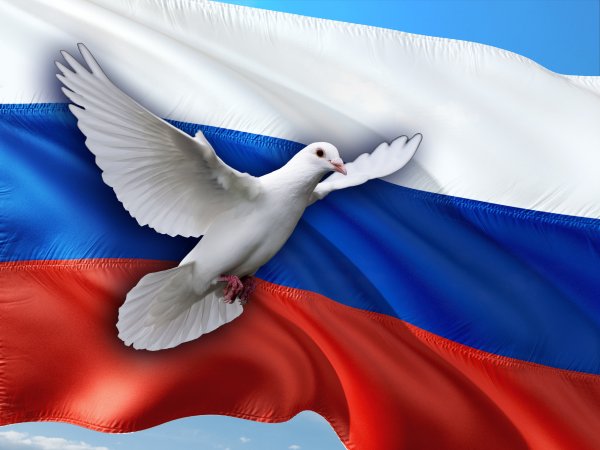 Трафареты день россии флаг и голуби (44 фото)