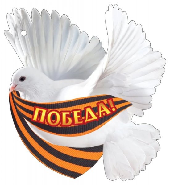 Голубь с георгиевской лентой