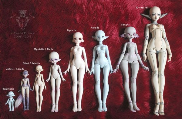 Шарнирные куклы с половыми органами