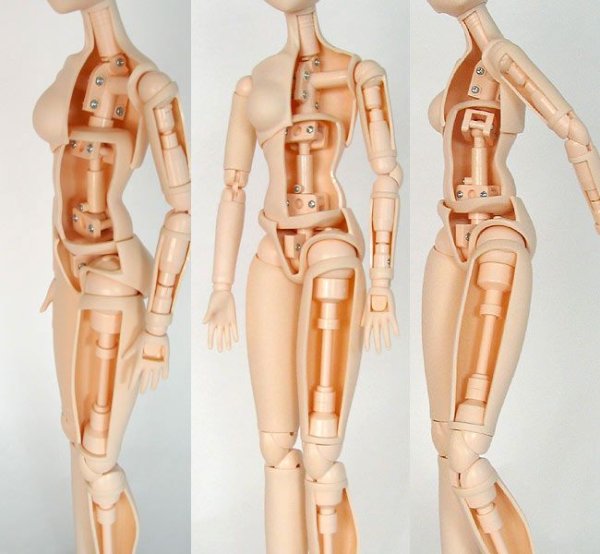 Анатомия кукол БЖД
