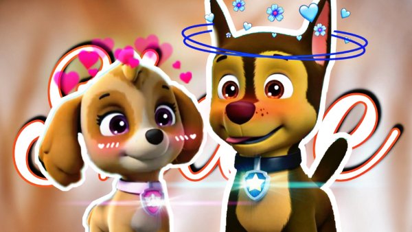 Paw Patrol гонщик и Скай