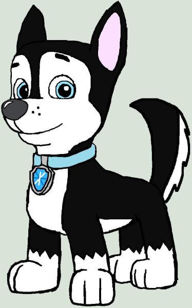 Paw Patrol OC