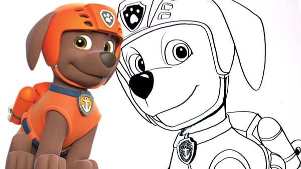 Paw Patrol Зума