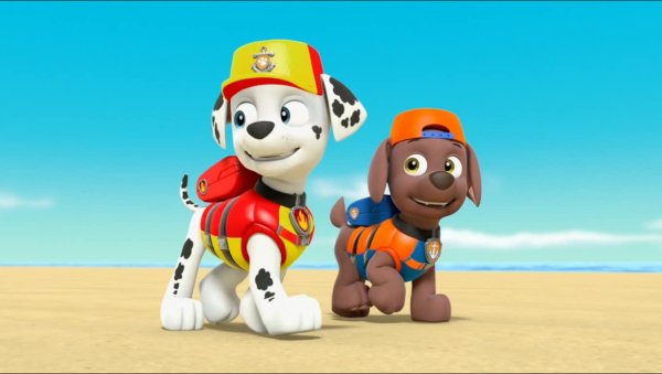 Paw Patrol Sea Patrol