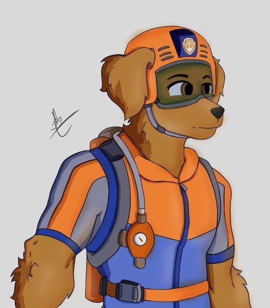 Paw Patrol Arts