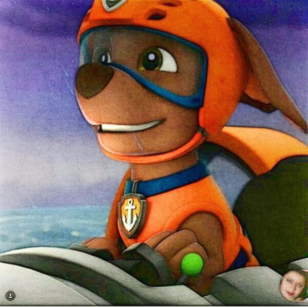 Paw Patrol Зума