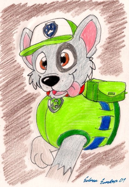 Paw Patrol Рокки