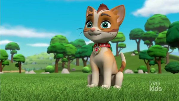 Paw Patrol дикий кот