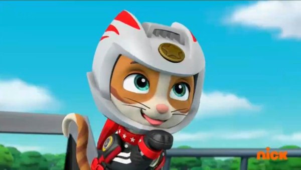 Paw Patrol Wild Cat