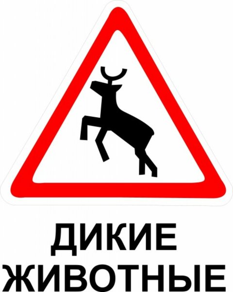 Дорожные знаки Дикие звери