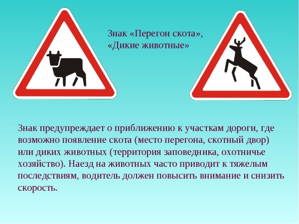 Знаки животных дорожные предупреждающие