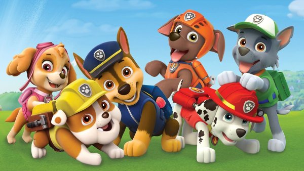 Paw Patrol 4