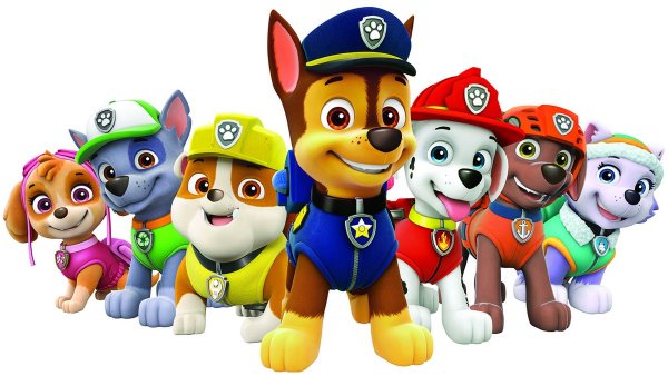 Paw Patrol Patroller