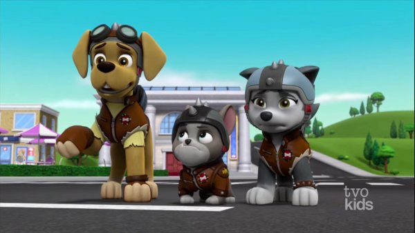 Paw Patrol Moto pups