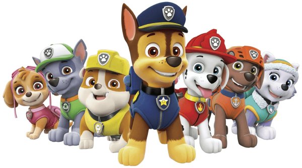 Paw Patrol Patroller