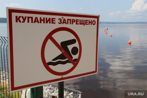 Купание запрещено картинки