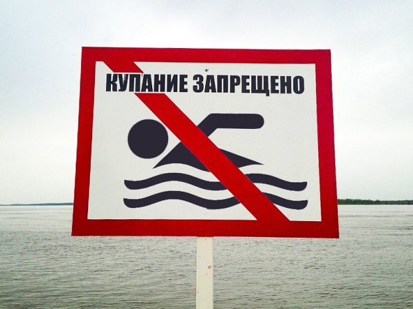 Купание запрещено табличка