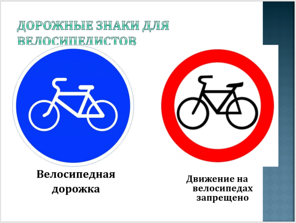 Дорожные знаки для велосипедистов: "велосипедная дорожка"