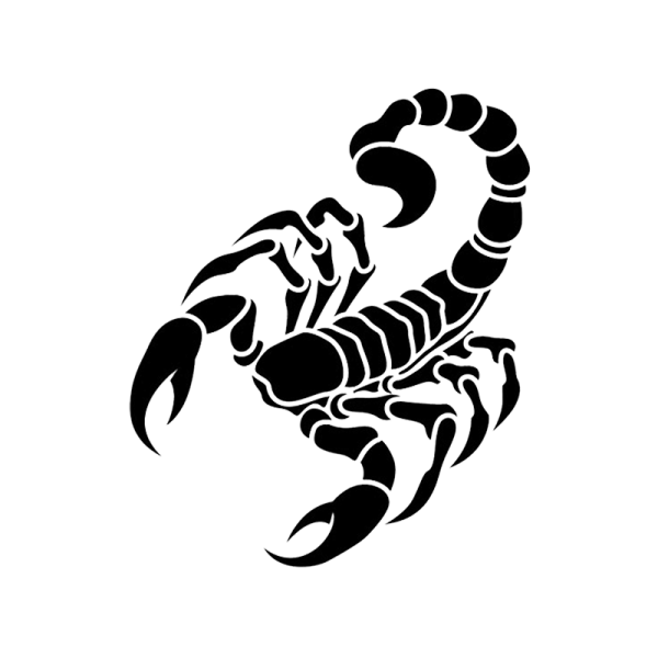 Скорпион рисунок