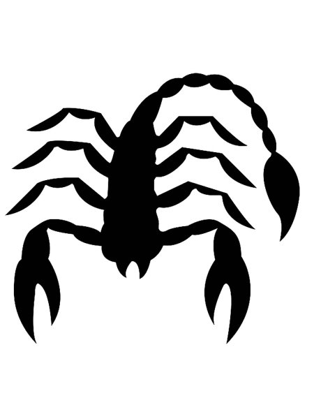 Скорпион трафарет