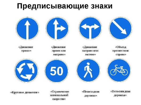 Предписывающие знаки ПДД 2022