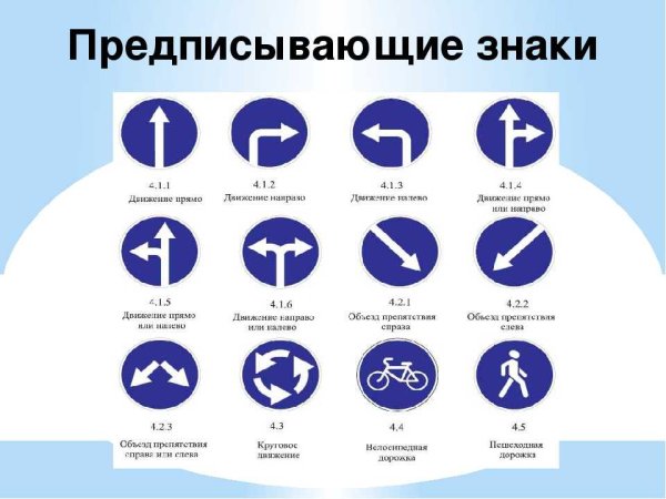 Предписывающие знаки ПДД 2020