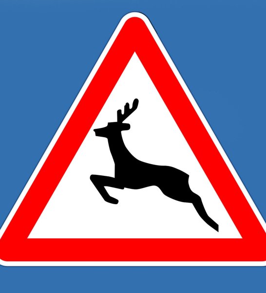 Знак Дикие животные