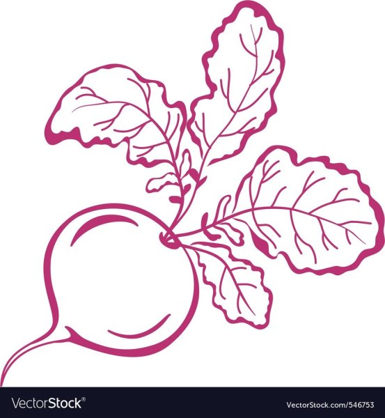 Свекла силуэт