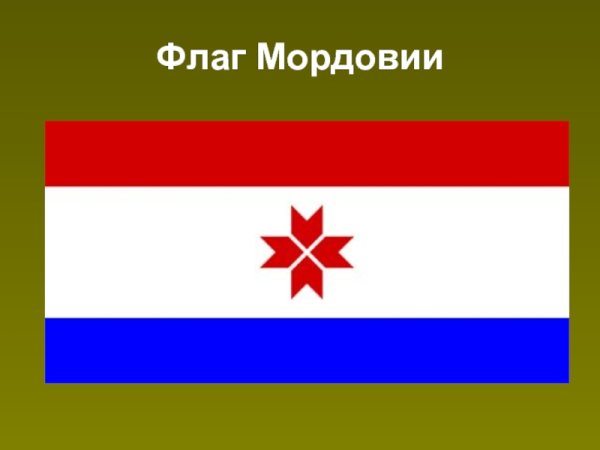 Национальный флаг Мордовии
