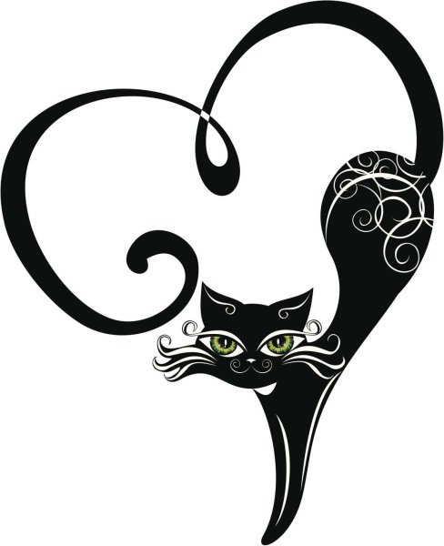 Тату кошка