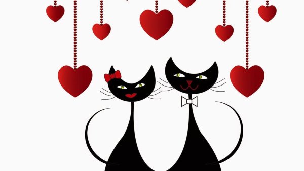 Котики с сердечками