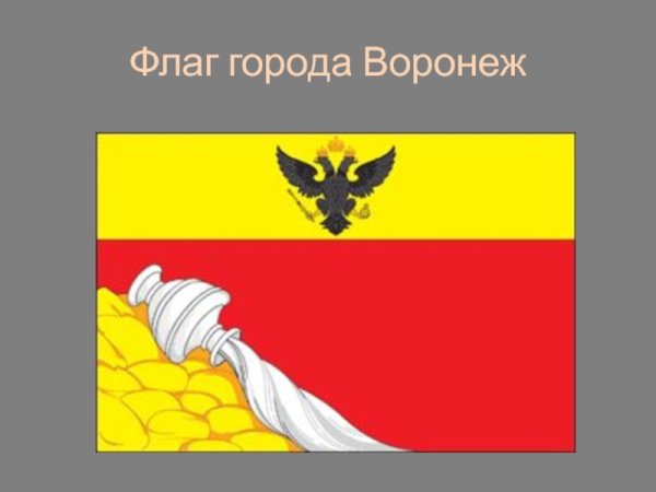 Герб и флаг Воронежа и Воронежской области