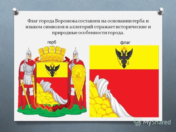 Город Воронеж герб и флаг