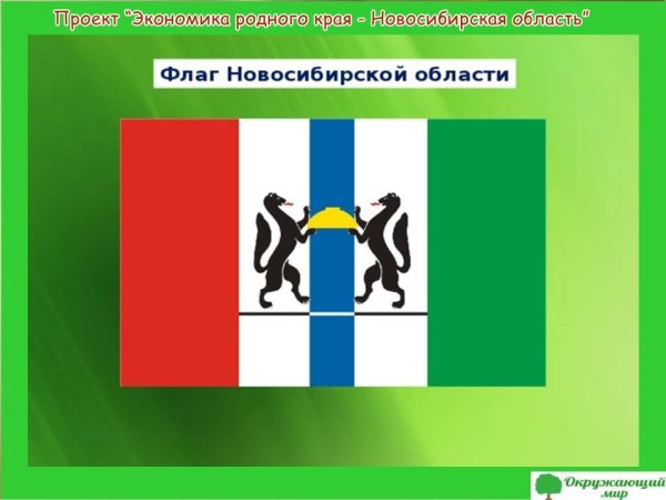 Флаг Новосибирской области