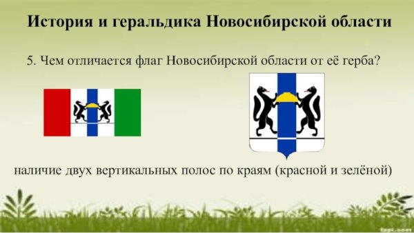 Флаг Новосибирской области