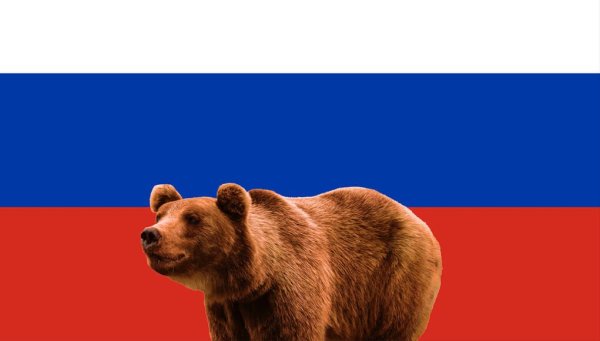 Русский медведь символ России
