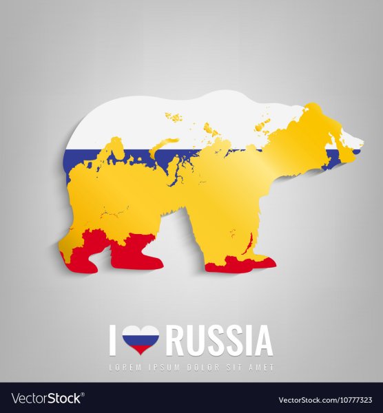 Виды медведей в России