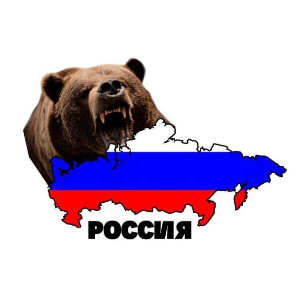 Флаг с медведем