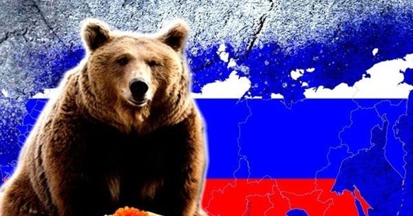 Бурый медведь символ России
